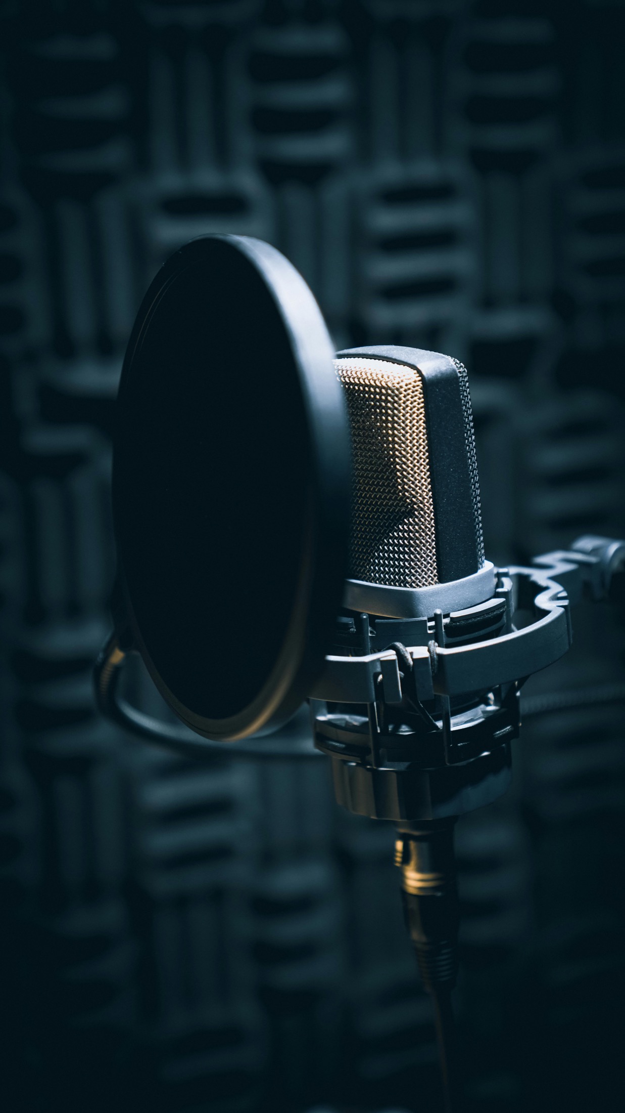 Close-up studio microphone for vocal practice